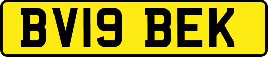 BV19BEK