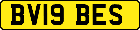 BV19BES