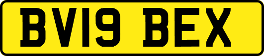 BV19BEX