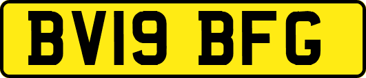 BV19BFG