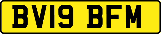 BV19BFM