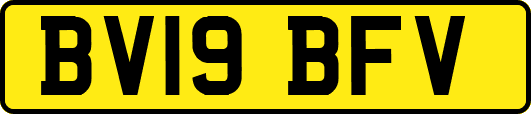 BV19BFV