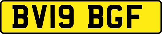 BV19BGF