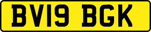 BV19BGK