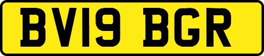 BV19BGR