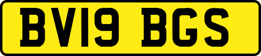 BV19BGS