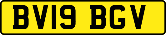 BV19BGV