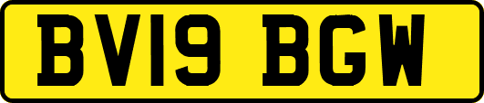 BV19BGW
