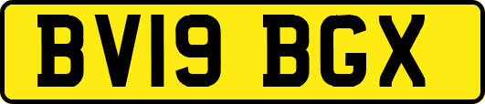 BV19BGX