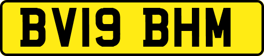 BV19BHM