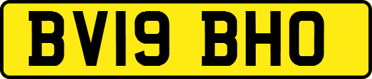 BV19BHO