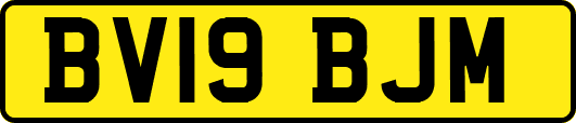 BV19BJM