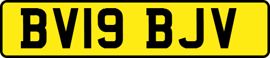 BV19BJV