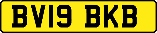 BV19BKB