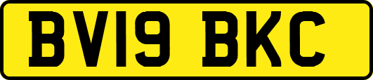 BV19BKC