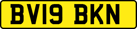 BV19BKN