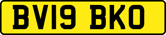 BV19BKO