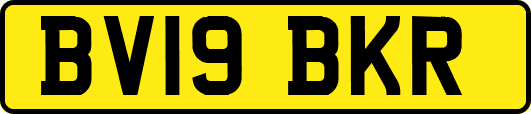 BV19BKR