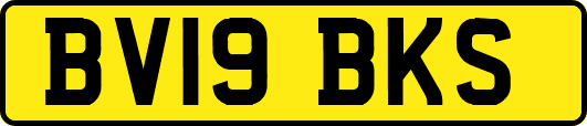 BV19BKS
