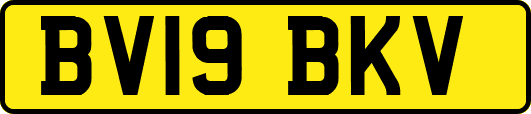 BV19BKV