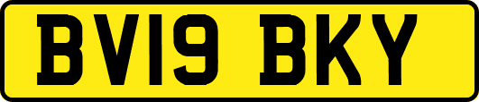 BV19BKY