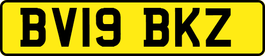 BV19BKZ