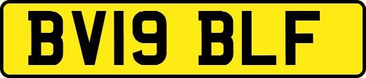 BV19BLF