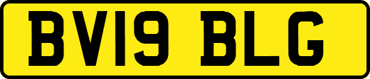 BV19BLG