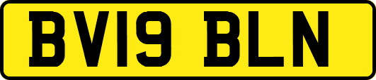 BV19BLN
