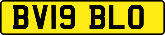 BV19BLO
