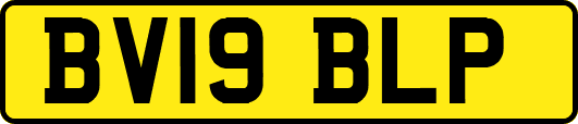BV19BLP