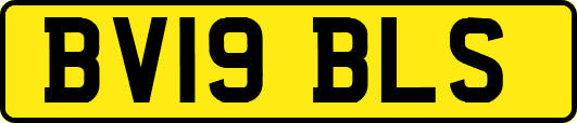 BV19BLS