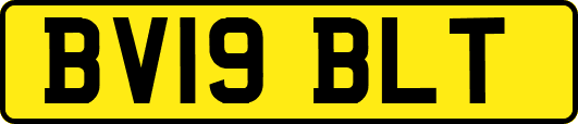 BV19BLT