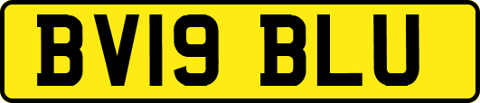 BV19BLU