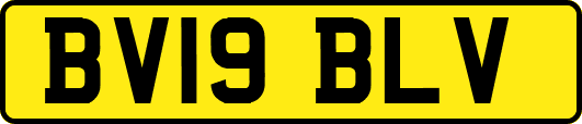 BV19BLV