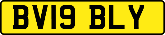 BV19BLY