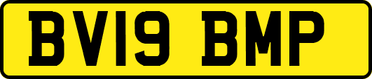 BV19BMP