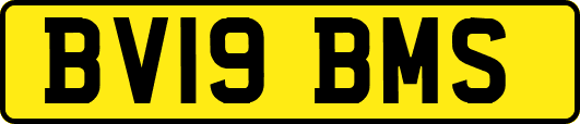 BV19BMS