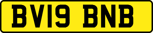 BV19BNB