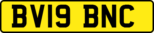 BV19BNC