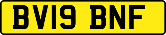 BV19BNF