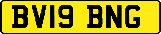 BV19BNG
