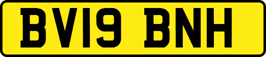 BV19BNH