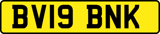 BV19BNK