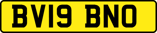 BV19BNO