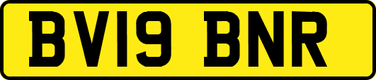 BV19BNR