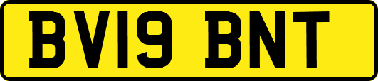 BV19BNT