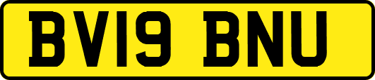 BV19BNU