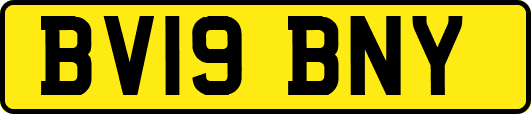 BV19BNY