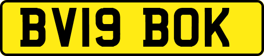 BV19BOK